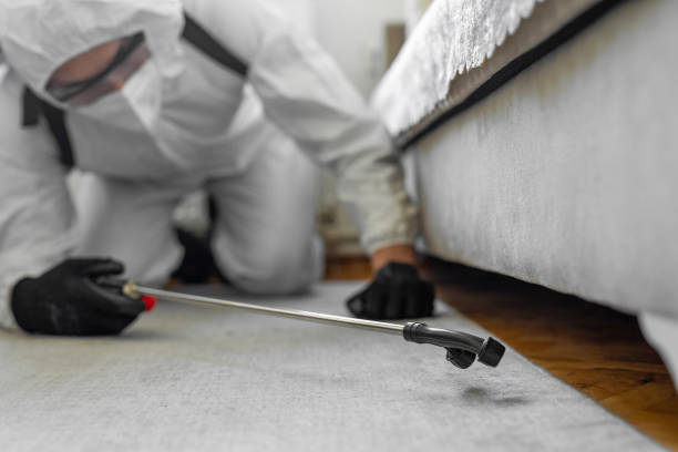 Professional Termite Control technician working in Holtville, CA