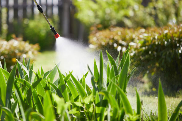 24/7 Emergency Termite Control experts in Holtville, CA